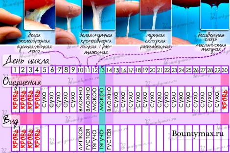 Когда лучше зачать ребенка