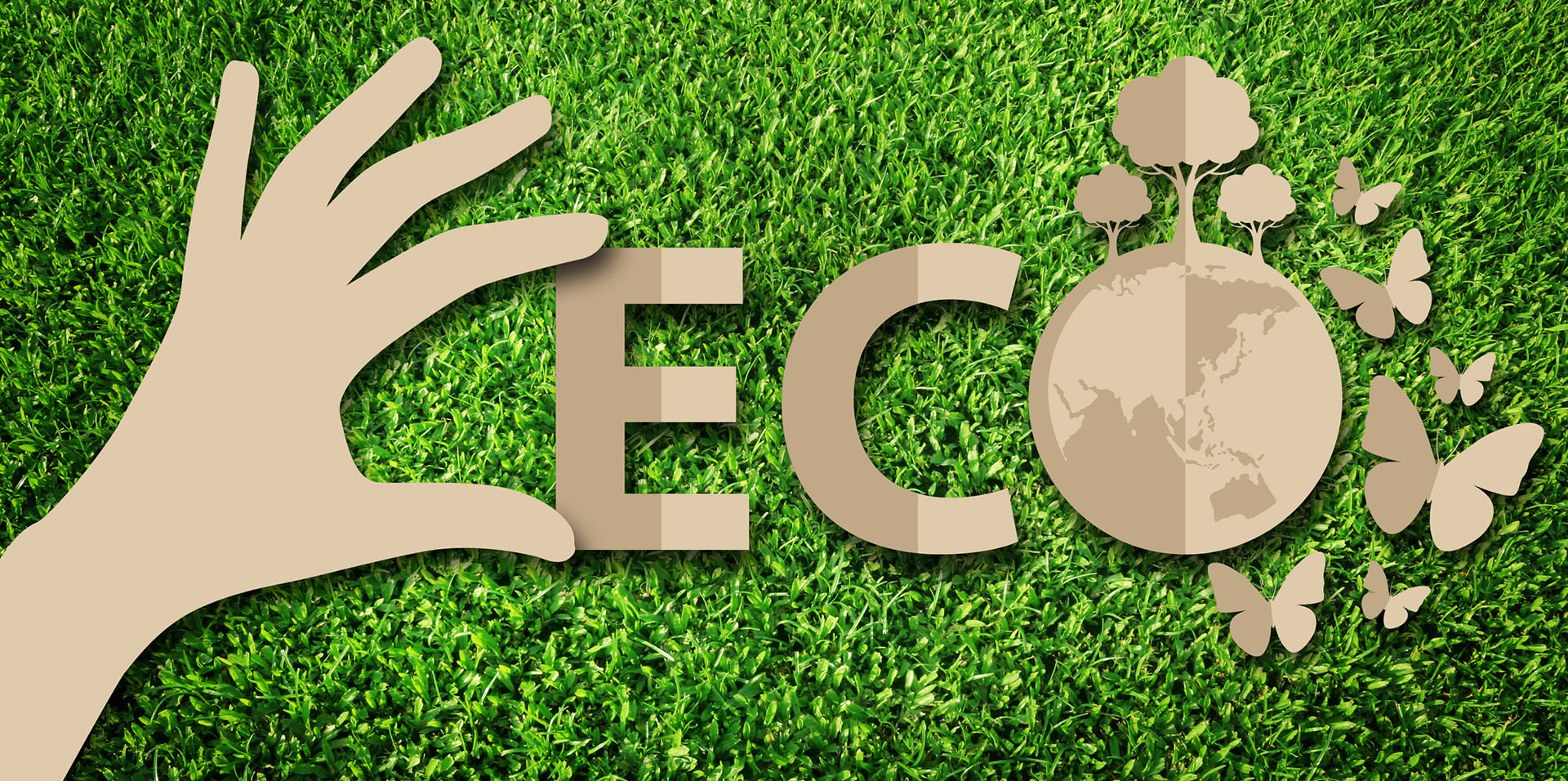 Жизнь в стиле ECO