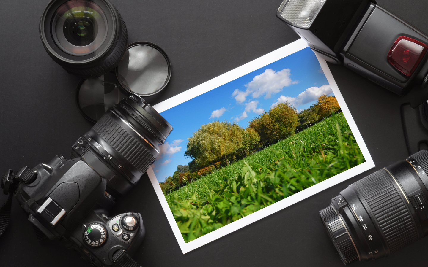 Почему так востребованы школы фотографии в Минске?