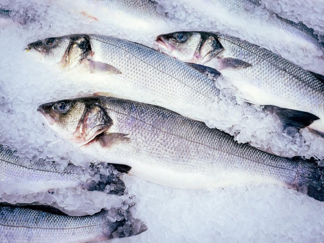 Где запастись замороженной рыбой и морепродуктами? Где запастись замороженной рыбой и морепродуктами?