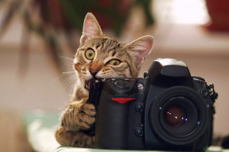 Фотосессия на любой случай - как выбрать хорошую фотостудию? Фотосессия на любой случай - как выбрать хорошую фотостудию?